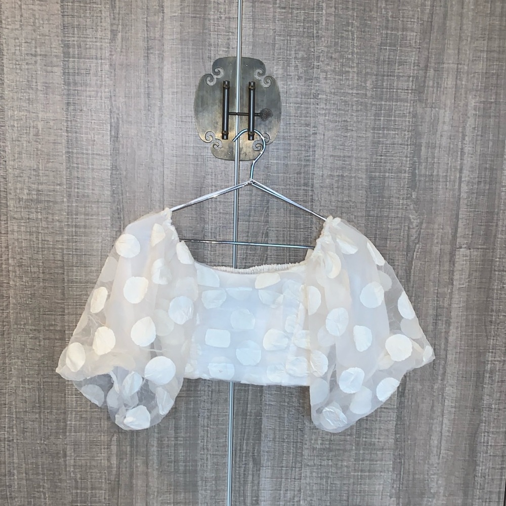 Zara Balloon Sleeve Crop Top